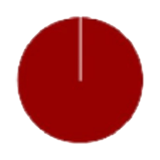 Pie chart showing 100%