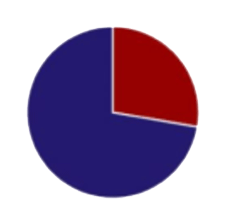 Pie chart showing 40%