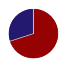 Pie chart showing 70%